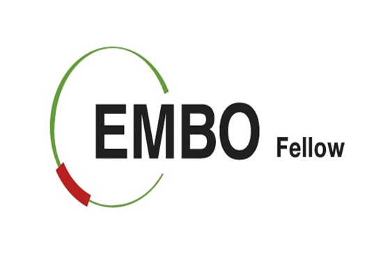 Avrupa Moleküler Biyoloji Organizasyonu (EMBO) Yerleşim Desteği Programı